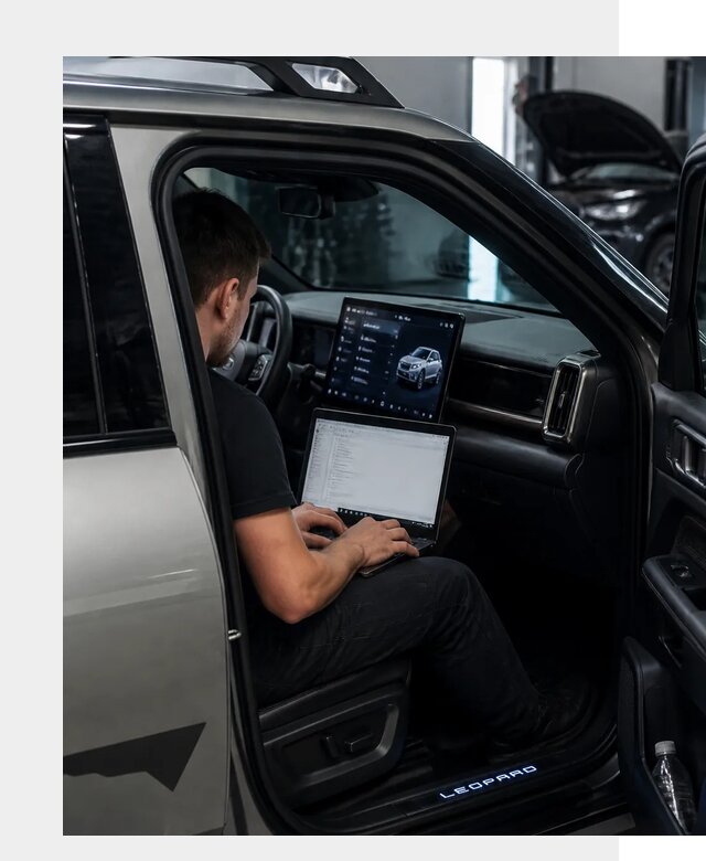 Русификация BYD Leopard 3 в Ишиме по цене от 20682 р. | ФастМобиль-Шм